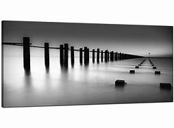 Image result for Black and White Owl Canvas Prints