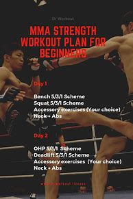 Image result for MMA Workout Routine