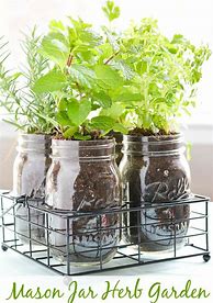 Image result for DIY Mason Jar Herb Garden