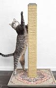 Image result for Cat Scratching Post Material