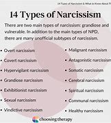 Image result for Narcissism