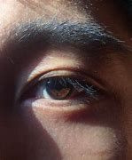 Image result for Dark Brown Eye Texture