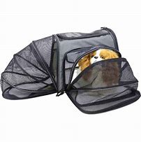 Image result for Expandable Pet Carrier