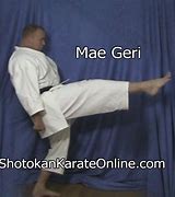 Image result for Front Kick by Mea Geri