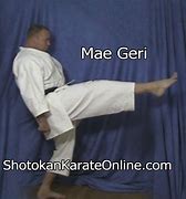 Image result for Front Kick by Mea Geri