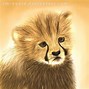 Image result for Draw so Cute Cheetah