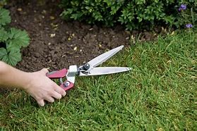 Image result for Grass Shears