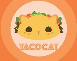 Image result for Taco Cat Background