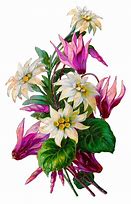 Image result for Stuffy Flower Art