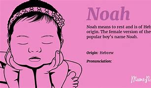 Image result for Member Noah