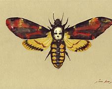 Image result for moth head art