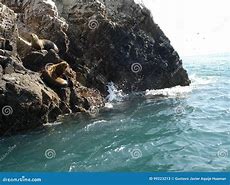 Image result for Paracas Pisco Peru