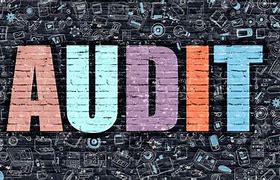 Image result for Audit Data Analytics