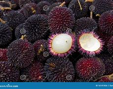 Image result for Buah Pulai