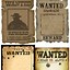 Image result for Diane Wanted Poster