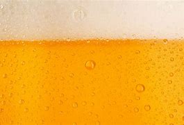 Image result for Beer Cover Photo Foam