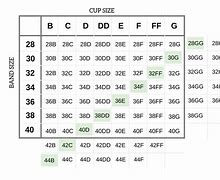 Image result for 46D Bra Size