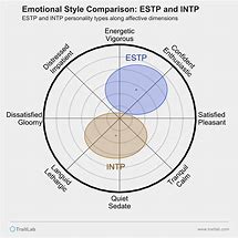 Image result for INTP X Estj