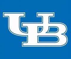 Image result for Buffalo Bulls Logo