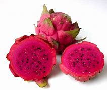 Image result for Buah Naga Merah Anima Si