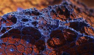 Image result for 4D Fractal