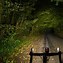 Image result for Night Dirt Bike Riding