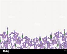 Image result for Purple Spring Flower Border