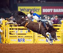 Image result for NFR Winged Horse