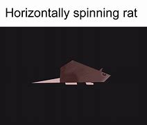 Image result for Horizontally Spinning Rat