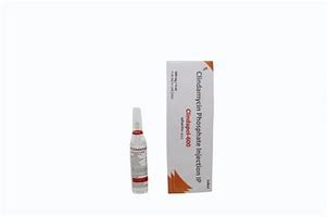 Image result for Clindamycin Inj