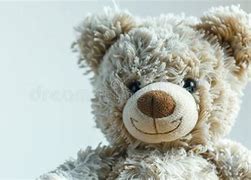 Image result for Sitting White Bear Plush