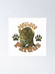 Image result for Nimr Panthera Pardus Poster