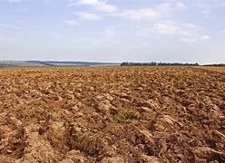 Image result for Arable Land Use