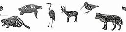 Image result for Iroquois Symbols