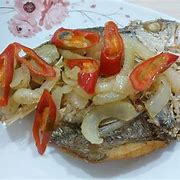 Image result for Ikan Tepekong