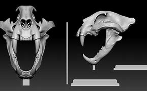 Image result for Tiger Skull 3D Print