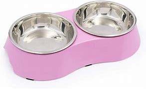 Image result for Zombie Dog Bowls