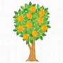 Image result for Lime Tree Clip Art