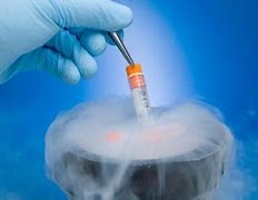 Image result for Saving Stem Cells