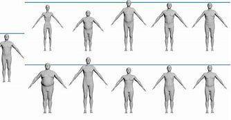 Image result for Model Body Pattern