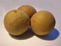 Image result for Petik Buah Sawo