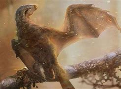 Image result for Bat-Like Dinosaur