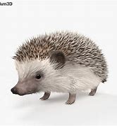 Image result for Hedgehog 3D Kids