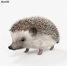 Image result for 3D Hedgehog Card