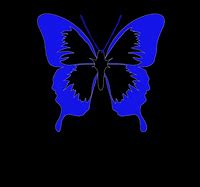 Image result for Black Background Blue Butterfly Wallpaper