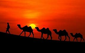 Image result for Camel Caravan Sphinx Wallpaper