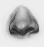 Image result for Shaded Nose Drawing