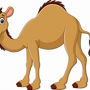 Image result for Halloween Camel Images