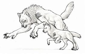 Image result for Baby Dire Wolf