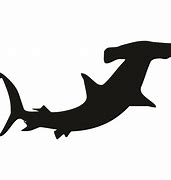 Image result for Shark with Headphones Black and White